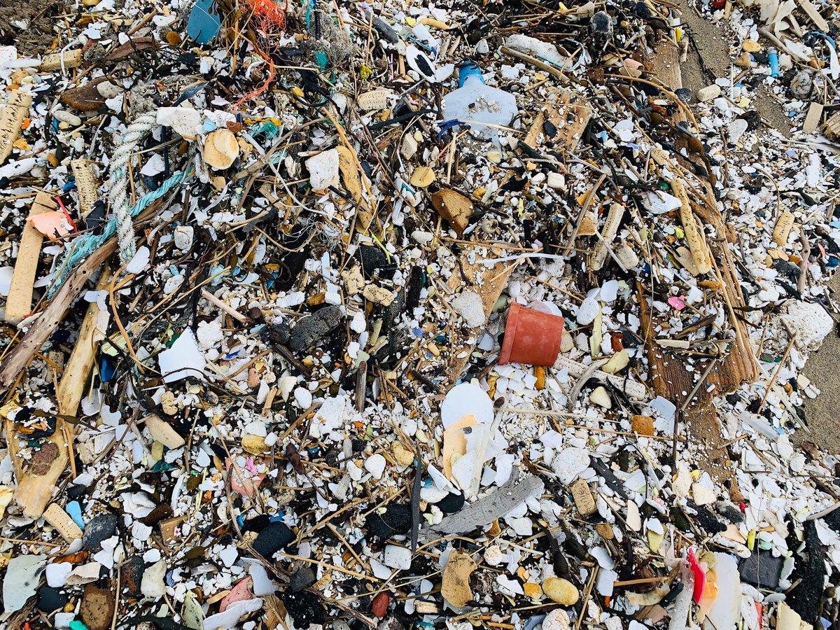 A petition has been launched to ban those cheap polystyrene bodyboards that nearly always break the first time they are used. They're an absolute menace on beaches. Do sign and share. petition.parliament.uk/petitions/5740…