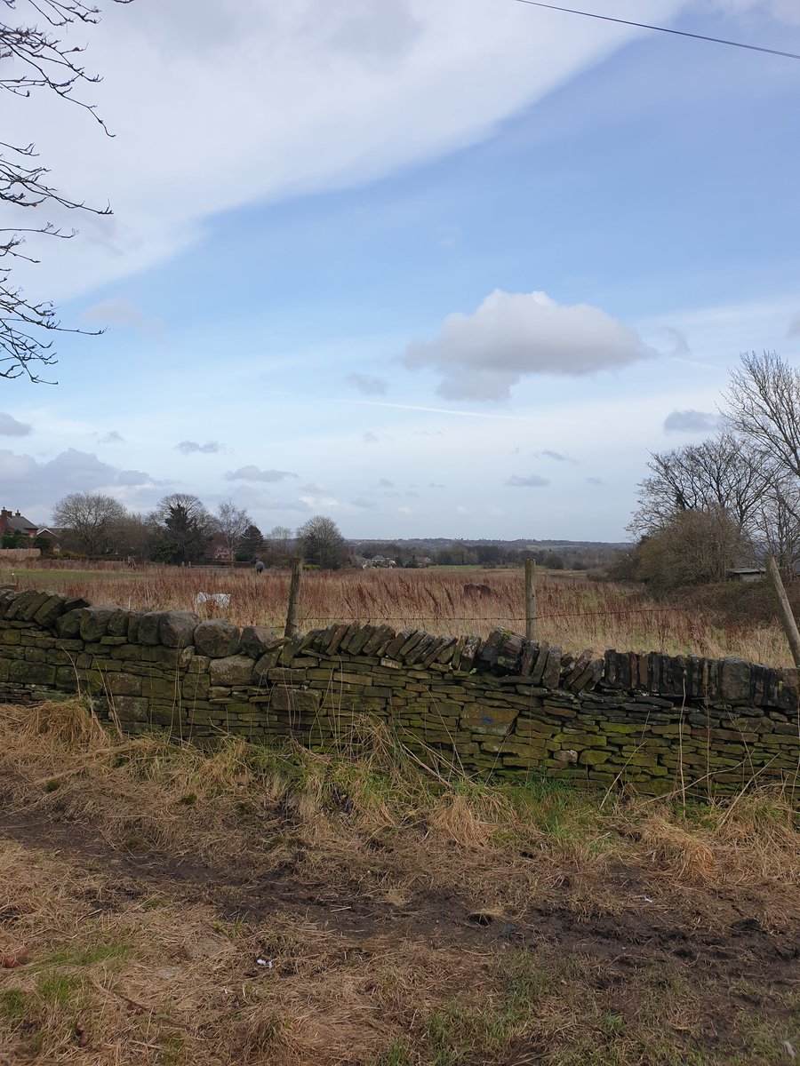  #couchto5k  #takeawaysto5ksWeek Three - Run TwoDid 15k steps yesterday out walking so legs a little heavy today, but got through it at a steady pace. Would have sacked it off a while back so created a habit if nothing else