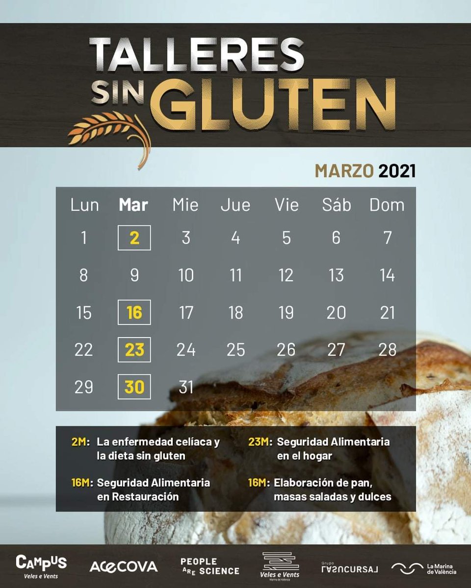 Acecova's tweet photo. ¡YA ESTÁN AQUÍ!
Los cursos #SinGluten que creamos junto a #PeopleAreScience en #CampusVeleseVents 

Toda la info aquí 👇
https://t.co/DCkVmbLQOr

Tanto los socios de #ACECOVA como los socios colaboradores tendrán un 15% de descuento en todos los cursos 💚 🤗 https://t.co/lLCxXdvoa5