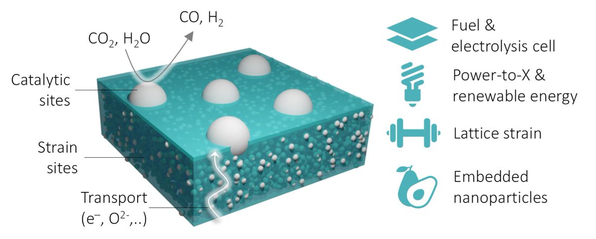 Fully funded PhD available in my group (UK student, Oct 2021), to develop ‘Tense solid oxide cells – boosting clean energy conversion through nanoscale strain'.

bit.ly/3rb3e4O

#PhD #StrathPhD #Energy #materials #nano #Electrochemistry #chemicalengineering  #Exsolution