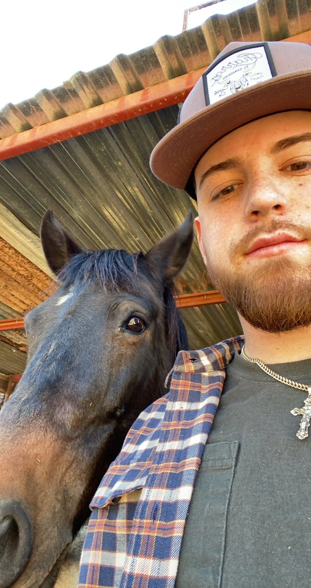 tnunez27's tweet photo. 🐴🇲🇽 https://t.co/7iydU3eUoL