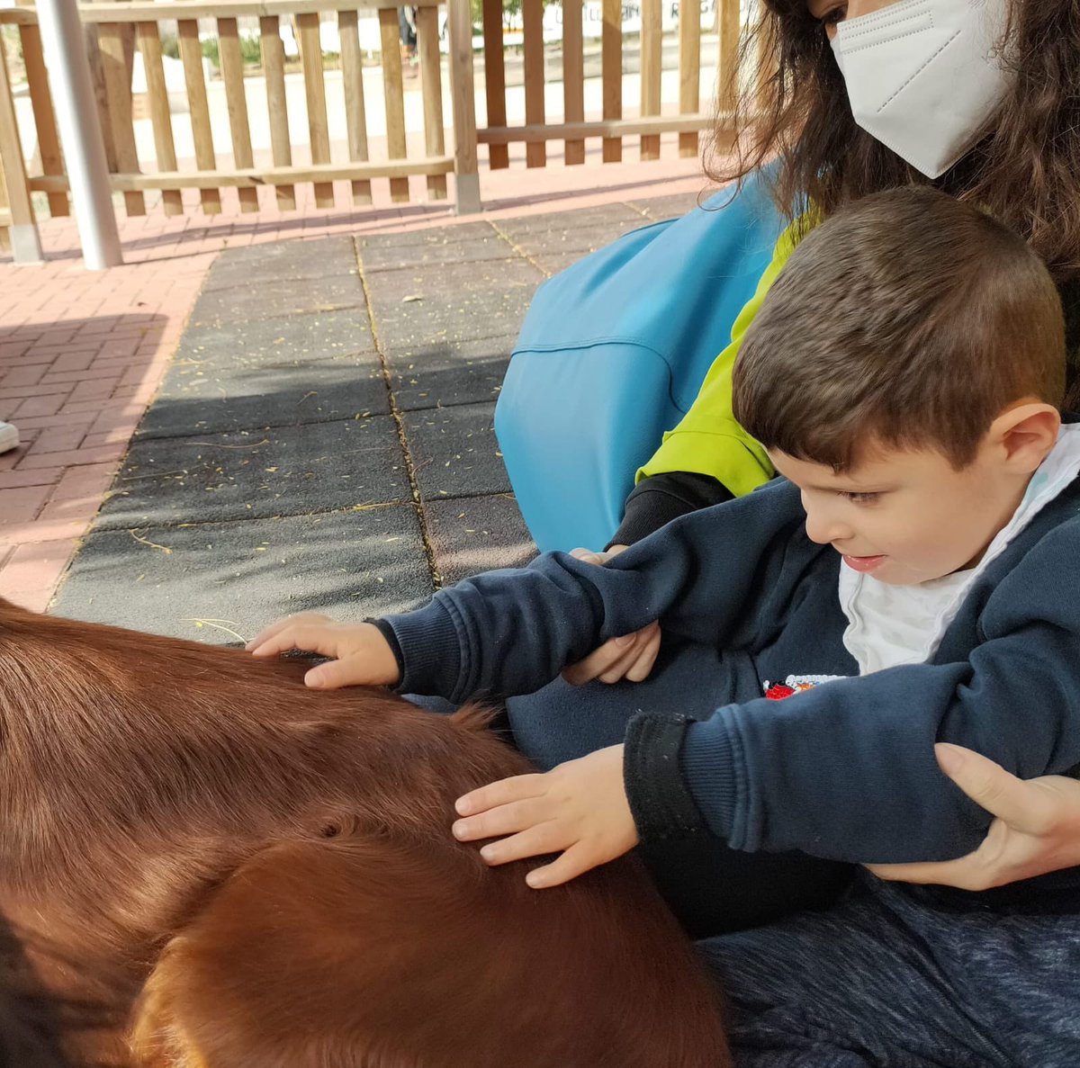 CPEE Eusebio tweet media