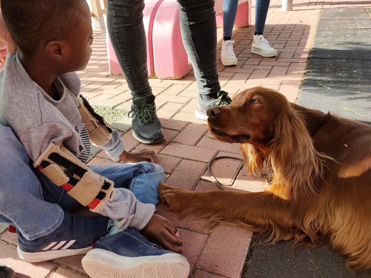 CPEE Eusebio tweet media