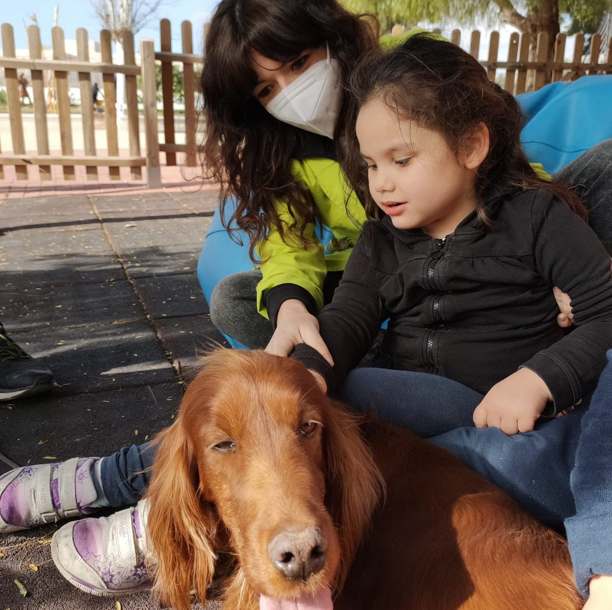 CPEE Eusebio tweet media