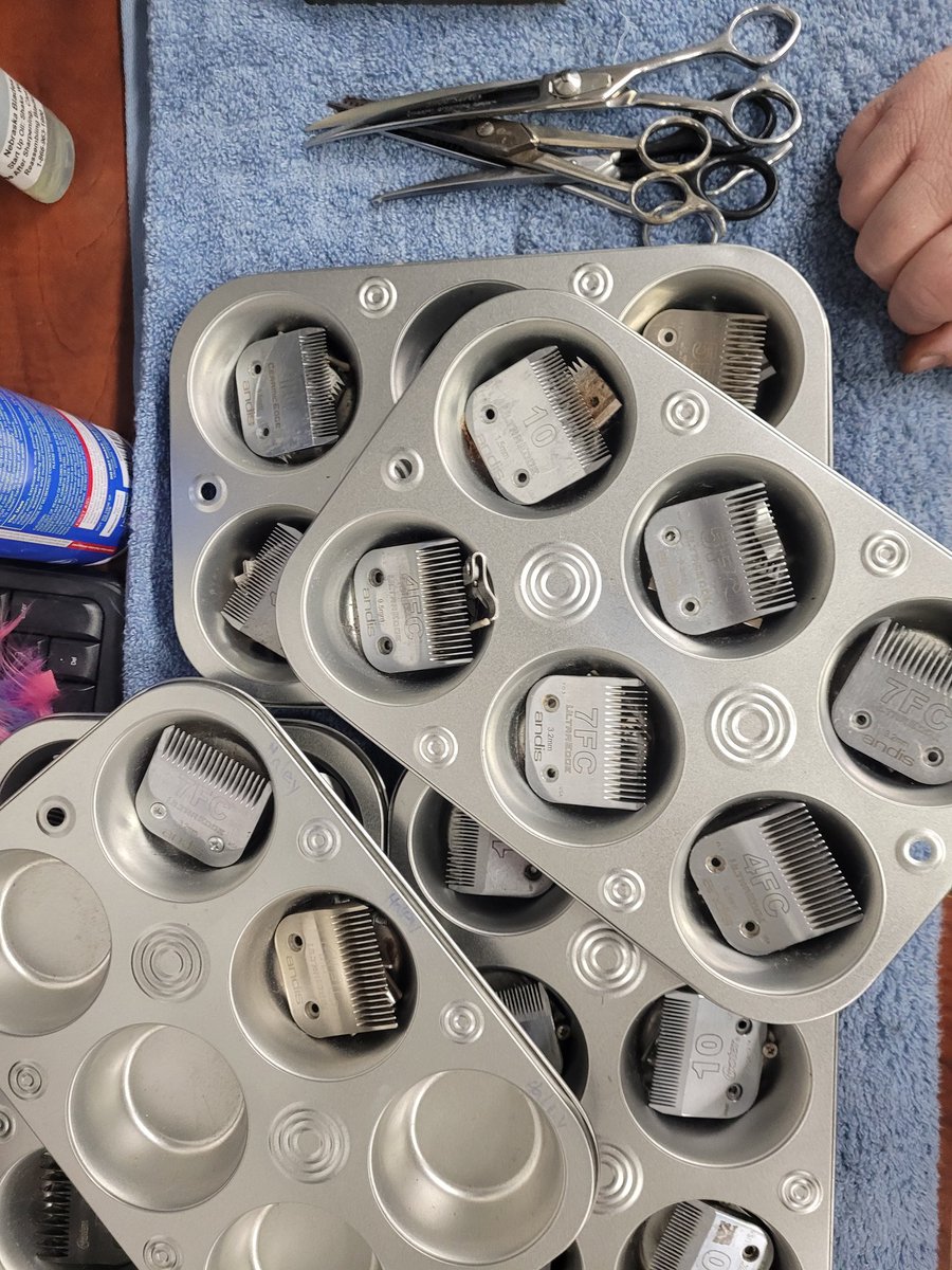 ScottSharpening's tweet image. All in an afternoons work.