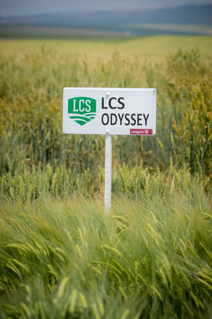 Brewbound tweet media