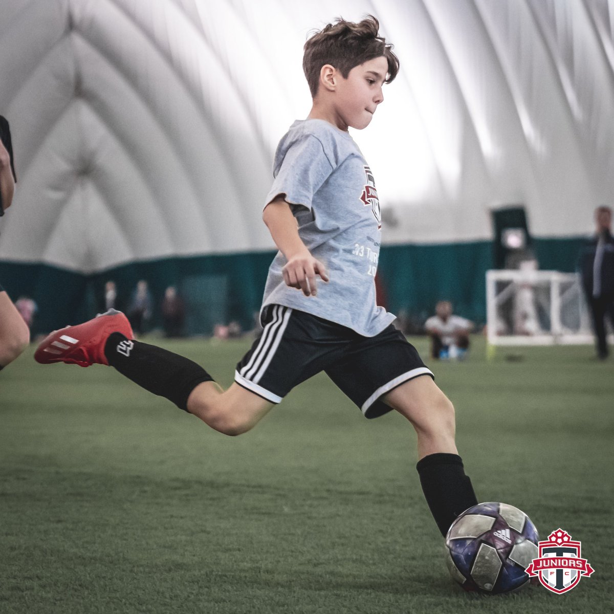 Toronto FC Juniors tweet media