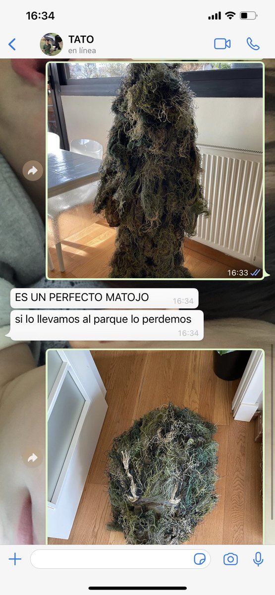 El cole: El jueves tienen que venir disfrazados de algo relacionado con el bosque por Carnaval. Duende, gnomo, flor...

Yo: Joer, ya estamos. De qué narices los disfrazamos.

El padre: Déjame a mí.