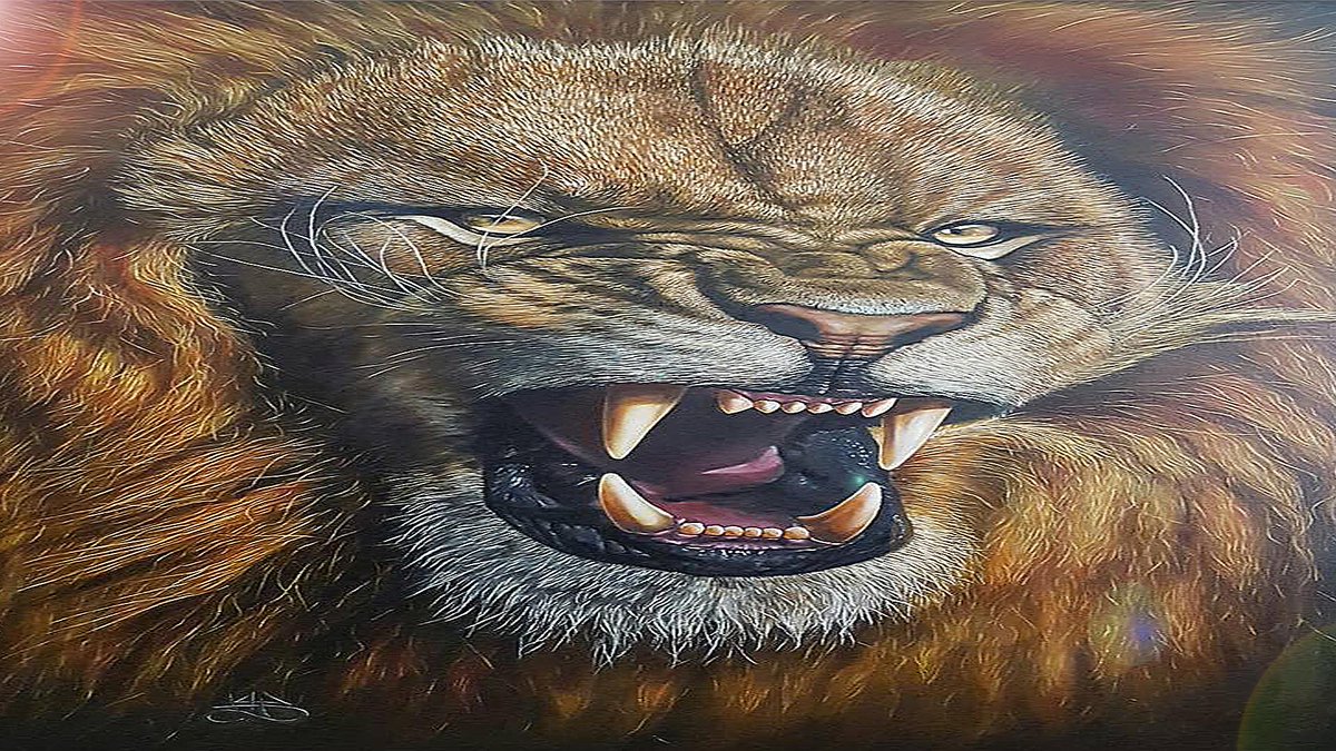 Kingjcakson tweet media