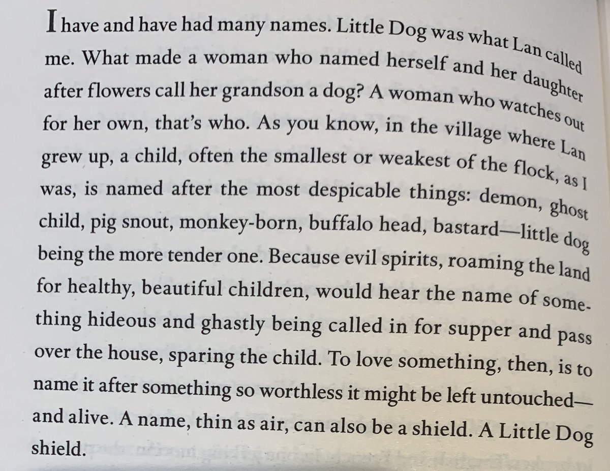 Ocean Vuong- ‘On Earth We’re Briefly Gorgeous’