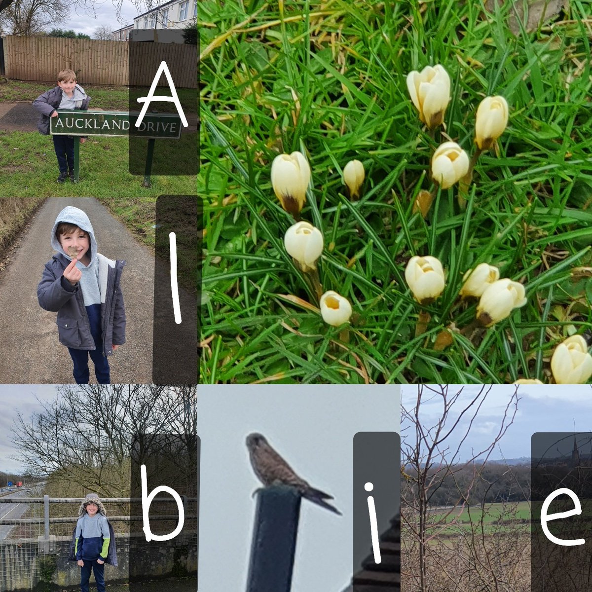We've been out walking the The Cars Area - Smiths Wood #winterwellbeingtrail today.  Albie spotted things along the way to spell out his name!

A - Auckland Drive

L - Lots of leaves

B - Bridge over the motorway 

I - Interesting nature in Water Orton 

E - Exciting views