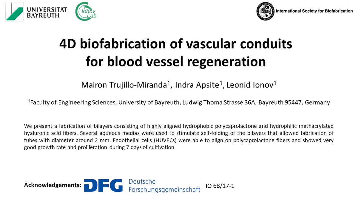 IonovLab's tweet photo. We introduce you our new 4D biofabrication method of electrospun bilayers comprising polycaprolactone (PCL) and methacrylated hyaluronic acid (HA-MA) fibers for blood vessels repair and construction @ISBioFab  #Biofab2020 #4Dbiofabrication #espinning #HUVEcs @DFG https://t.co/h9PDFc9fRb