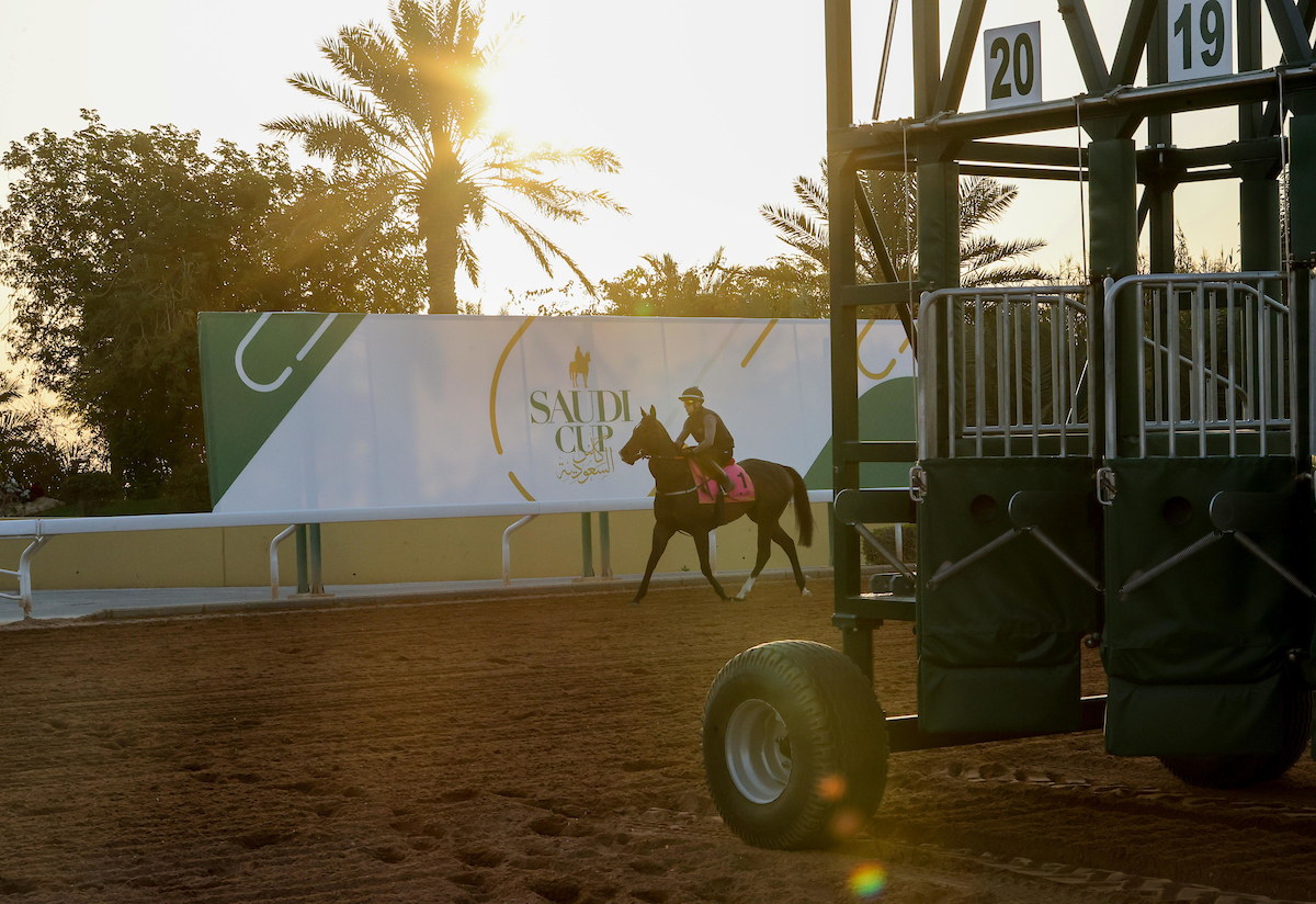 Tom Dascombe tweet media