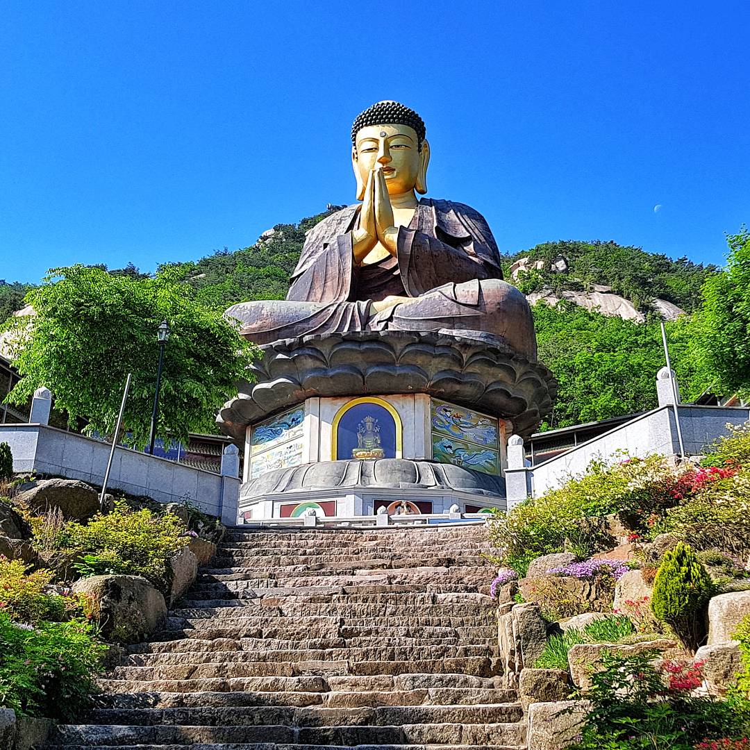 Travel Lexx tweet media