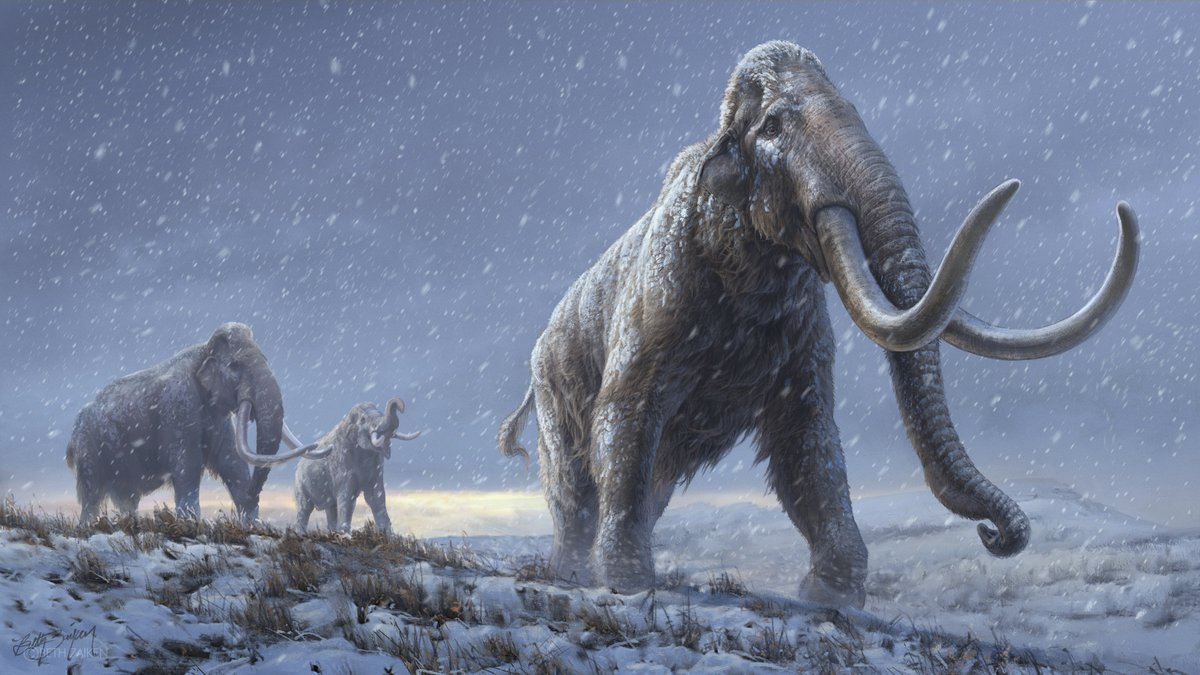 JUST IN: Ancient DNA has been extracted from a 1.2 million-year-old mammoth — the oldest DNA that’s ever been recovered by a long way.  https://www.iflscience.com/plants-and-animals/worlds-oldest-dna-recovered-and-it-comes-from-a-12-millionyearold-mammoth/