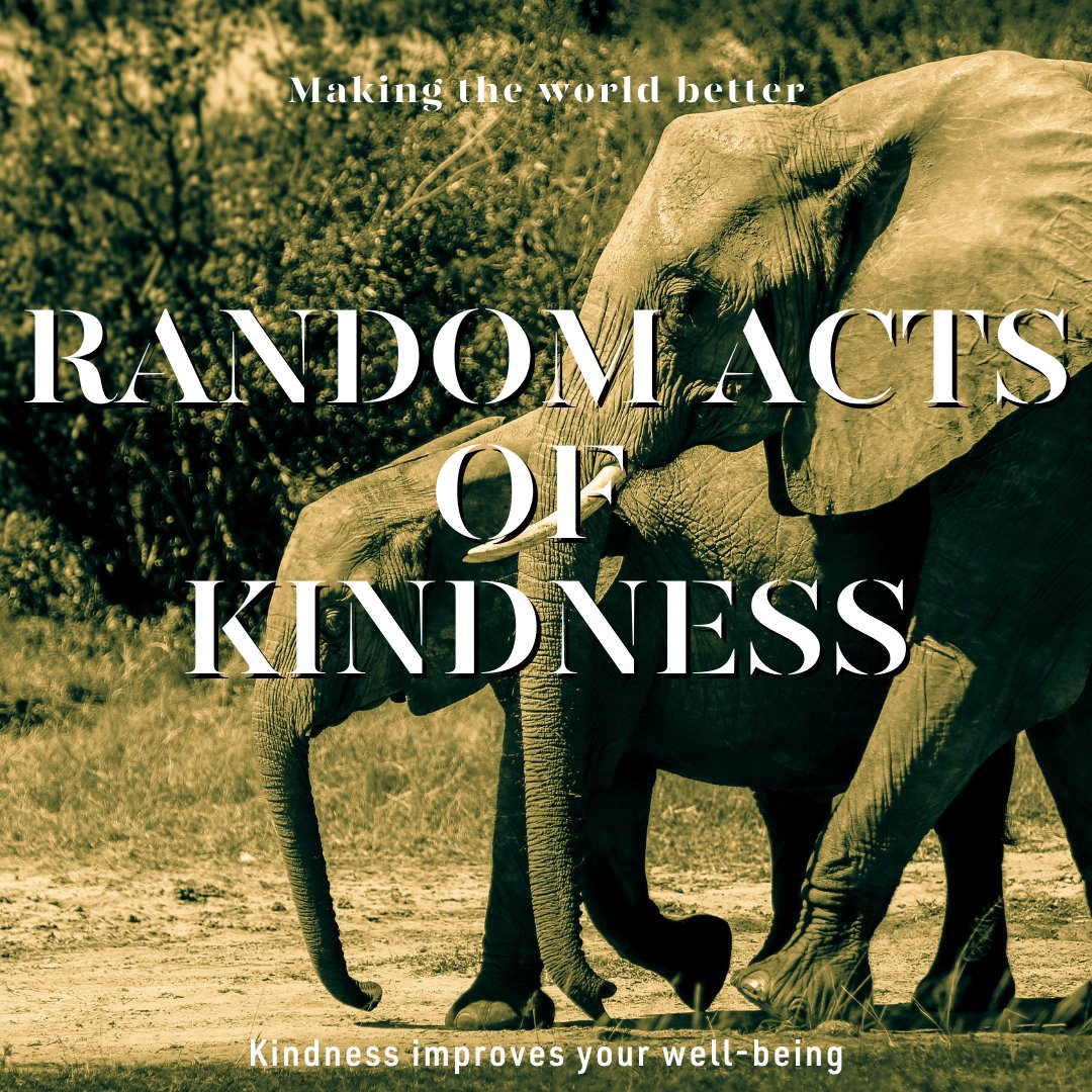 LeafyElephant's tweet image. Spread a little love this month! ♥️  ​Surprise a friend with a thoughtful gift....gin?🙌
​​Never has kindness meant more than right now.  ​Do something for someone else because it will make their day and also yours too! #randomactsofkindess #raok leafyelephant.com/collections