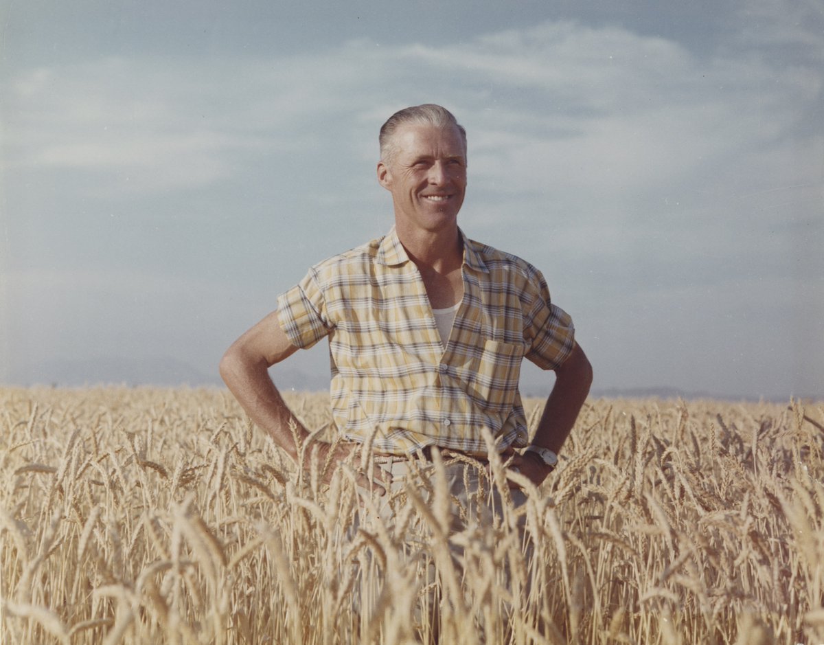 CIMMYT's tweet photo. “I never met Dr. Norman Borlaug…but I've admired him for years.” 

Borlaug gets a special mention in @BillGates new book, so here’s an introduction to the man who inspired his decision to work with smallholder farmers in the world’s poorest countries.

👉 https://t.co/TS0gxjOMdV https://t.co/CeZagQM8q2