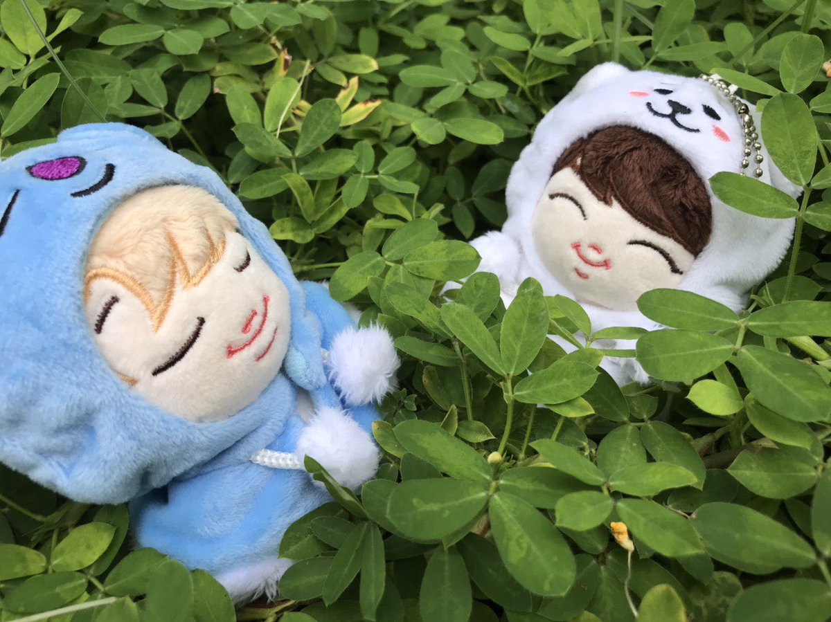 ʚ JikooksobsGO ɞ tweet media