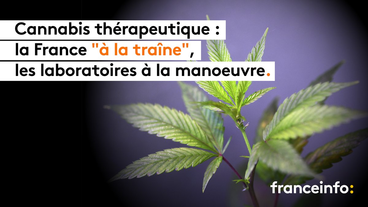 franceinfo's tweet photo. Des patients vont bientôt bénéficier de médicaments à base de cannabis. Retardée en raison du Covid-19, cette expérimentation sera enfin lancée “avant le 31 mars”. Elle est très attendue par certaines entreprises car le marché pourrait s'avérer juteux.
 
À dérouler 👇 https://t.co/VApIplb5xv