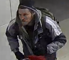 A number of people involved in the violence at the U.S. Capitol on January 6 are still at large. Help the #FBI apprehend them. If you recognize this individual, submit a tip to tips.fbi.gov. When you leave a tip, reference photo 223.