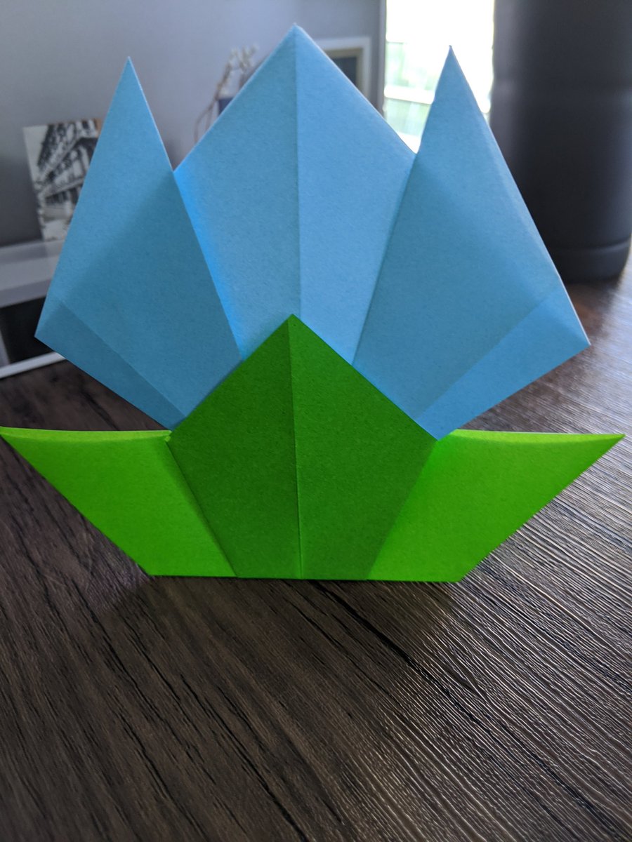 CESD83GATE's tweet image. @MAtkinsonSchool Gifted Enrichment Club created origami tulips this morning using supplies from our @DonorsChoose At-Home Enrichment Kits. #atkinsonacademy #cartwrightgate