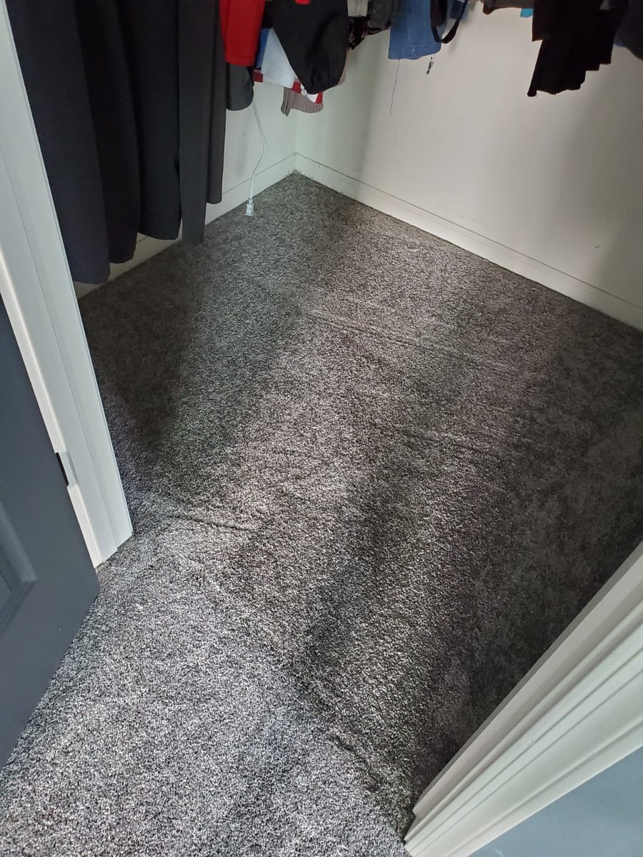 InteriorsNative's tweet image. This home sure got a new makeover; new carpet and new vinyl! 

These colors go great together. We installed about 300 feet of our Cyrus (color: Katella Ash) Luxury Vinyl along with our beautiful Just A Hint (color: Sterling) carpet.