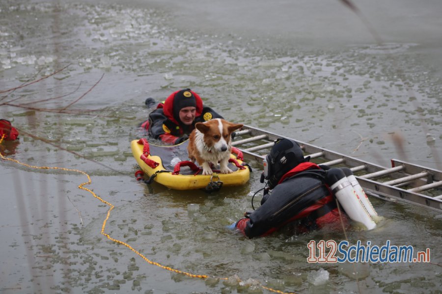 Jongen (14) rent zijn hond achterna en zakt door het ijs. 112Schiedam.