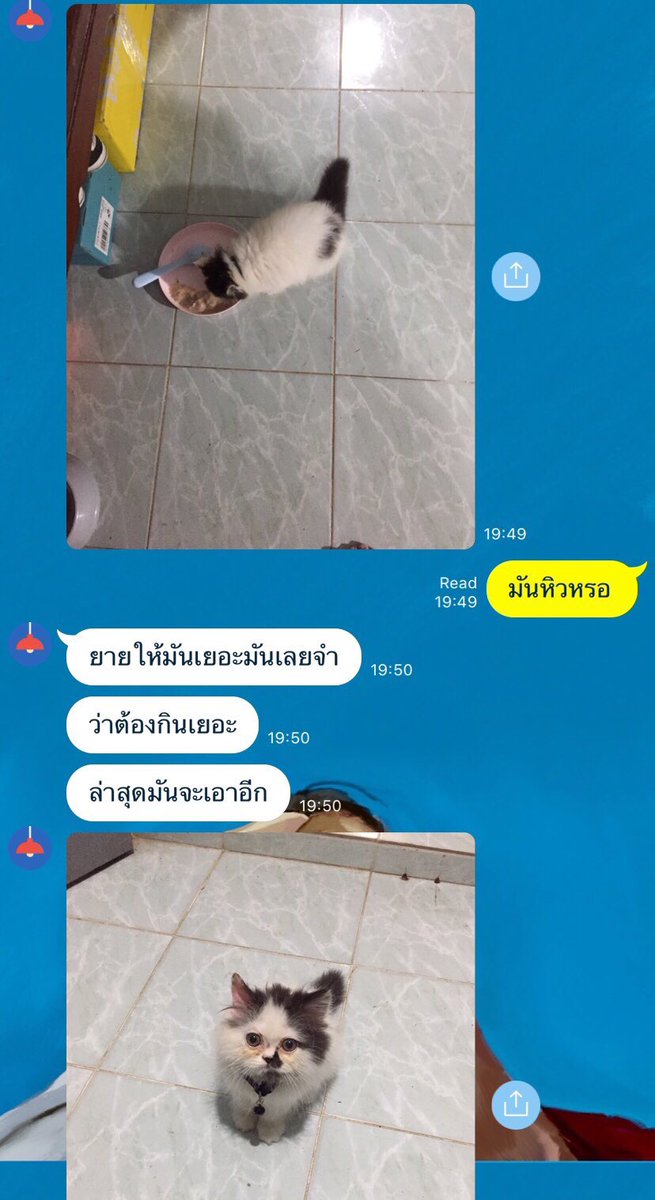 LORD 𓆇 tweet media