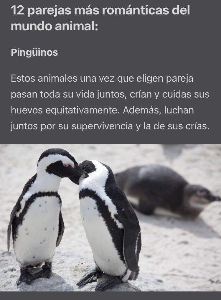 Mi nombre va con S on Twitter: Mi nombre va con S on Twitter: