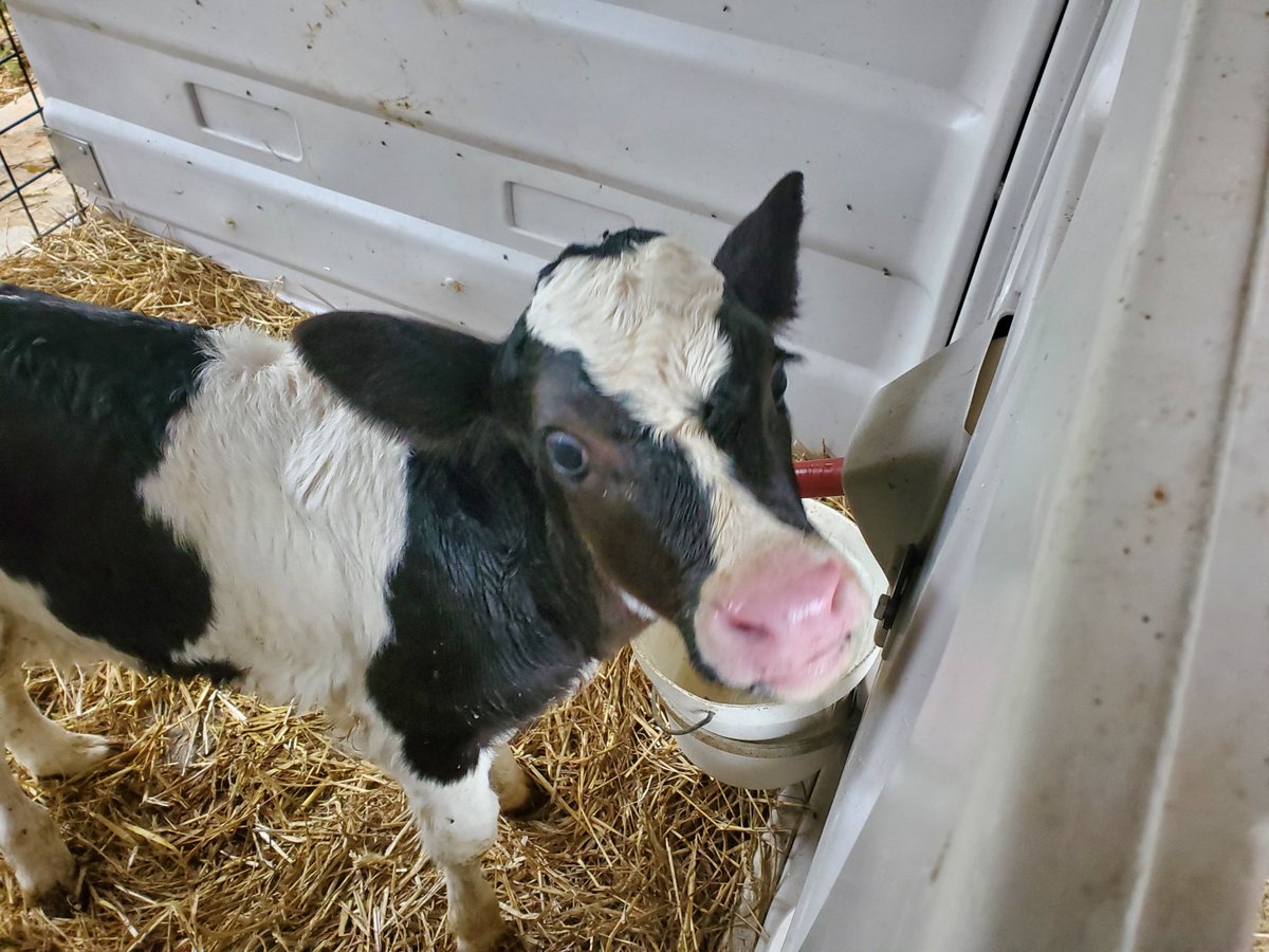 Ms. Katelyn Lowery tweet media