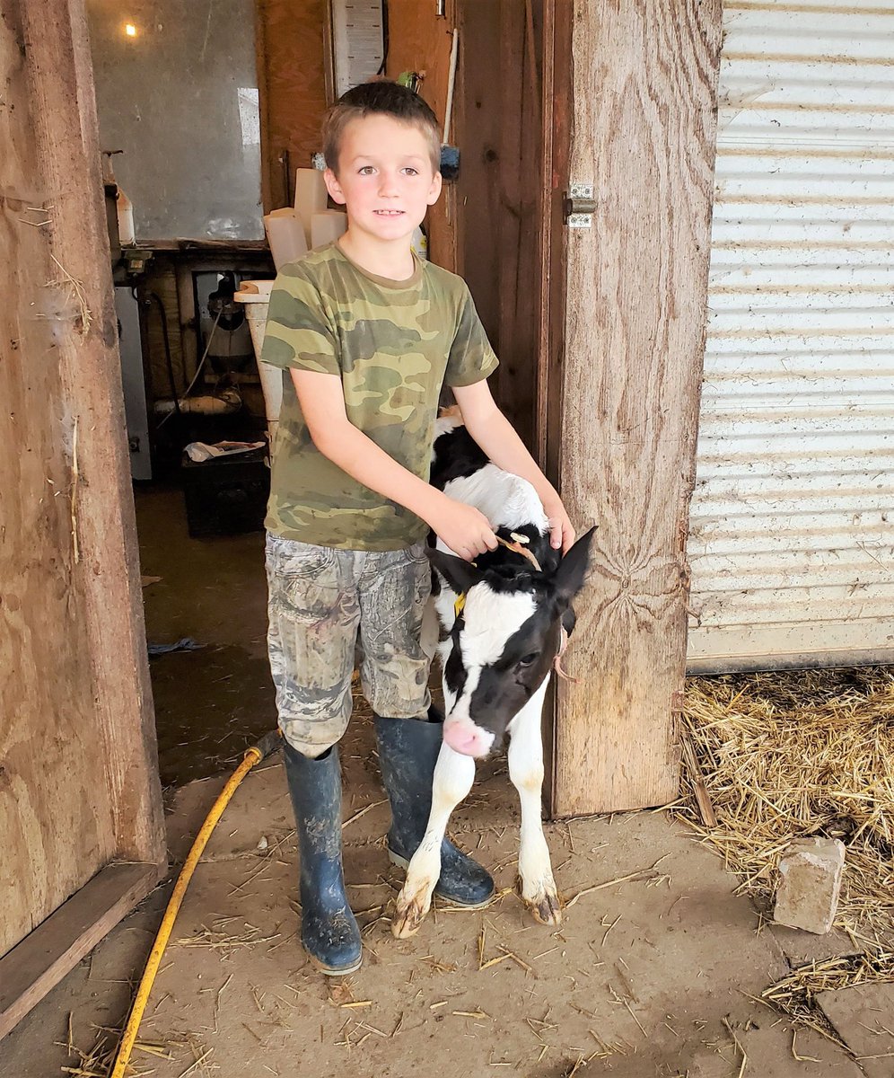 Welcome to the (digital) classroom, Nina! Nina is our adopted calf through <a href="/discover_dairy/">Discover Dairy</a>. She is a Holstein heifer born on 9/24/20 and weighed in at 92 lbs for her birth weight! We can’t wait to keep up with all her moo-ves! 🐮 #TeachAg #discoverdairy