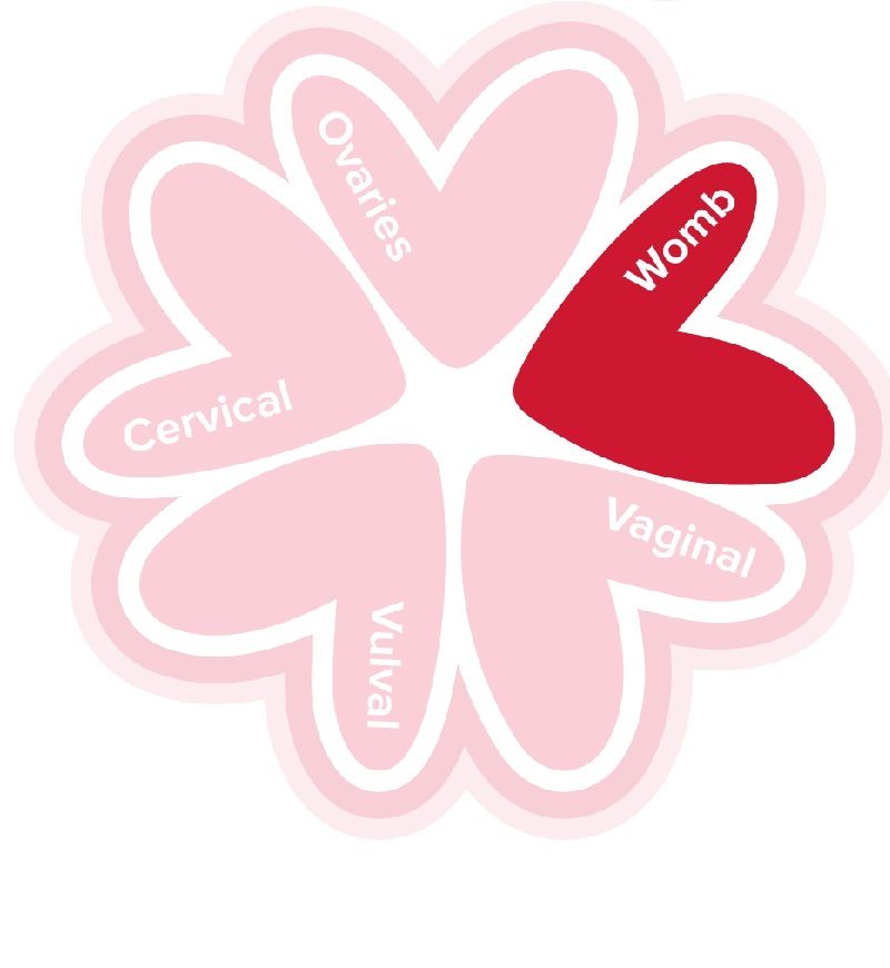 eveappeal's tweet photo. #WombCancer is the FOURTH most common cancer in women in the UK, with 9,300 people diagnosed each year. 

🩸 Its main symptoms are abnormal bleeding: after menopause, after sex, in-between periods, or much heavier/more painful than your normal: https://t.co/eW6jxB7jNq 🩸 https://t.co/qMPxTskATl