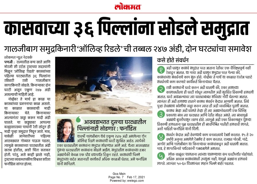 MorjimT's tweet photo. Thank you @MiLOKMAT for the beautiful piece! https://t.co/evRU4lmv6q
