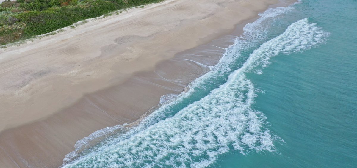 HarborIslandBch's tweet photo. Life is all about choices.
Choose to grab your flip-flops ππΆ instead of your snow boots π§£π§€ today! What are you waiting for? #Move2TheBeach π https://t.co/AKjitu38EZ https://t.co/WTCGMSZri1