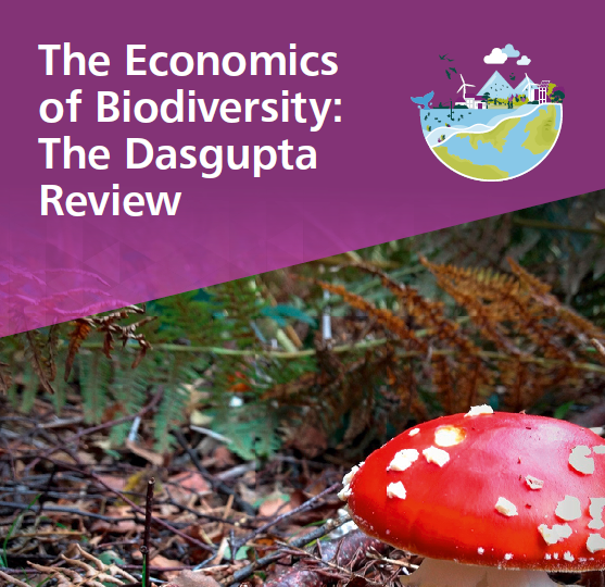 1/n As I wasn't sure if/when I would read through all 700 pages of the  #DasguptaReview on  #biodiversity and  #economics, I joined two webinars on it today via  @_UKNEE (Emily McKenzie) and  @RoyalSocBio  @NCI_NatCap ( @waters_ruth). Here's what I learned...