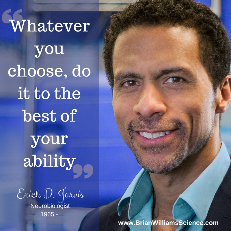 bwilliamssci's tweet photo. This week's #WednesdayWisdom comes from Dr. @erichjarvis; professor at The @RockefellerUniv. He studies the neural and genetic mechanisms of spoken language using song-learning birds and other animals. #blackhistorymonth #dosomescience https://t.co/8X3irE1uUx