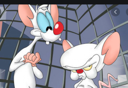 14. In conclusion -- am I wrong about the Pinky and the Brain comparison?