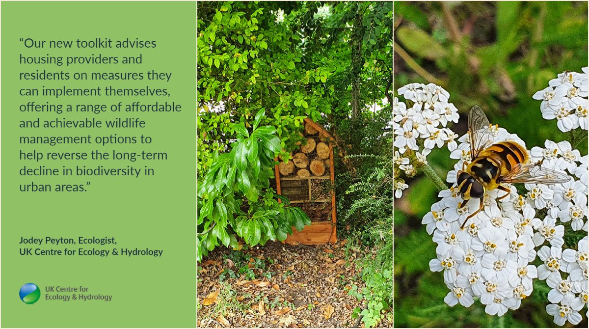 Green spaces in urban habitats have great potential for supporting lots of #wildlife and improving people’s #wellbeing. We hope housing providers across the UK will use the new #Biodiversity toolkit available at shgroup.org.uk/toolkit - pls share!

#urban #GreenSpaces #housing