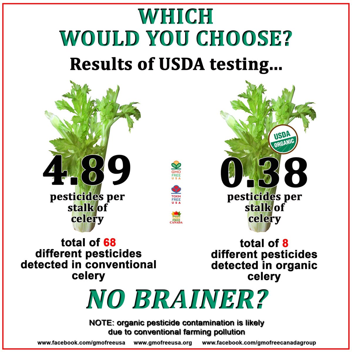 GMOFreeUSA's tweet photo. 70% of the organic celery tested contained no pesticide residues at all. In comparison, less than 4% of conventional celery contained no traces of pesticides. https://t.co/Xswj2jvovS
