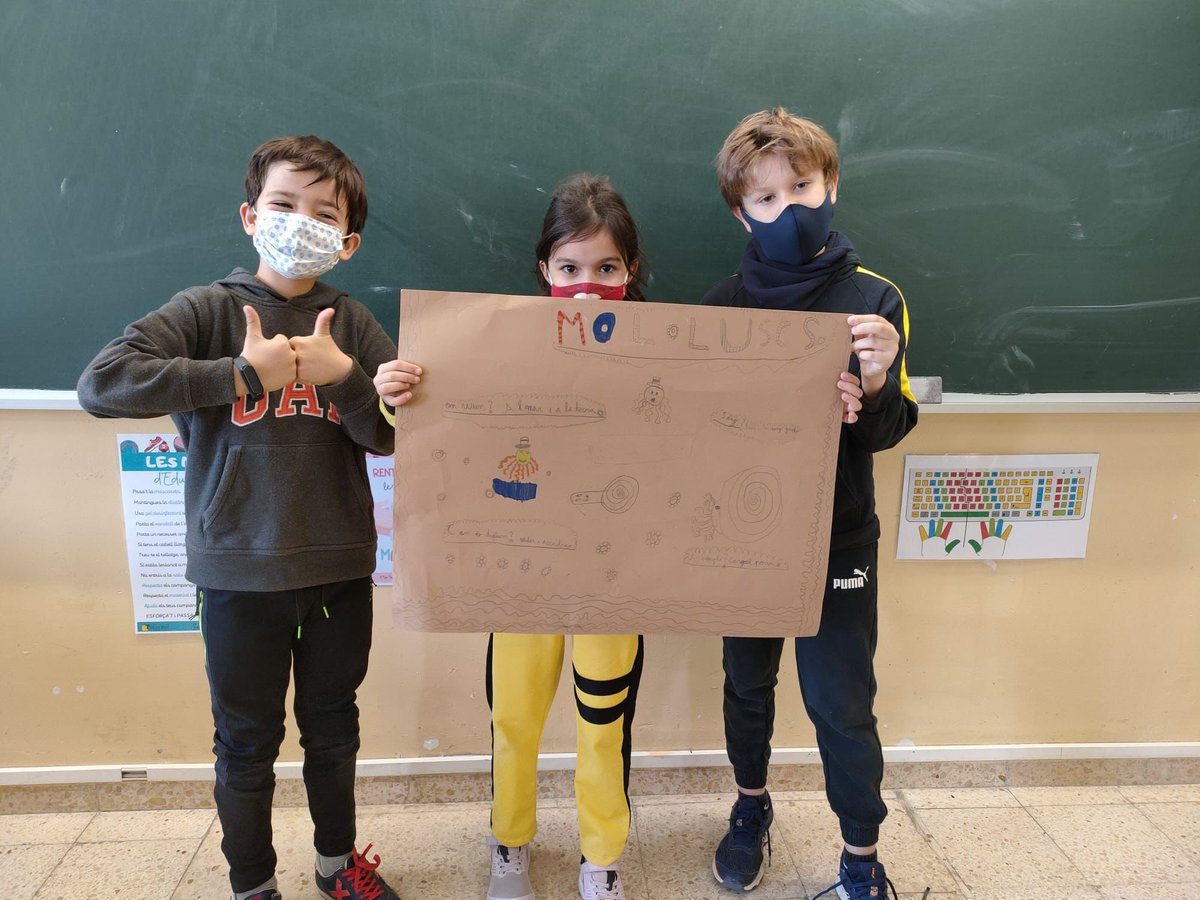 colsantpau's tweet photo. PRIMÀRIA | Als de 3r ens encanta treballar amb la metodologia Flipped Classroom! 🔄 A medi, cada grup s’ha especialitzat en un regne d’animals invertebrats i hem fet de mestres 🤩 Hem après moltíssim!! 🦑🦀🦟🐛🦋 #JoSocDelSantPau #3rdGradeSwag #Neuroambients #Primària #CicleMitjà https://t.co/NqpAuxyugb