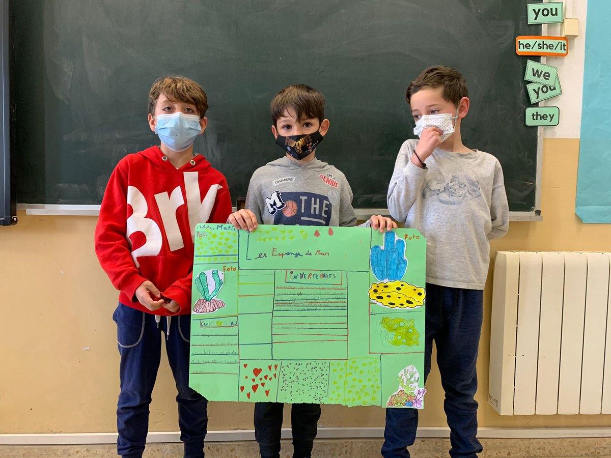 colsantpau's tweet photo. PRIMÀRIA | Als de 3r ens encanta treballar amb la metodologia Flipped Classroom! 🔄 A medi, cada grup s’ha especialitzat en un regne d’animals invertebrats i hem fet de mestres 🤩 Hem après moltíssim!! 🦑🦀🦟🐛🦋 #JoSocDelSantPau #3rdGradeSwag #Neuroambients #Primària #CicleMitjà https://t.co/NqpAuxyugb