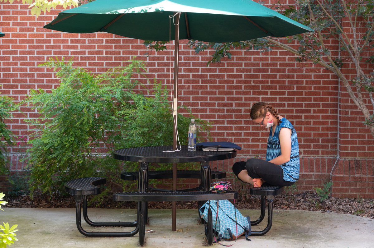 Harding Honors College tweet media