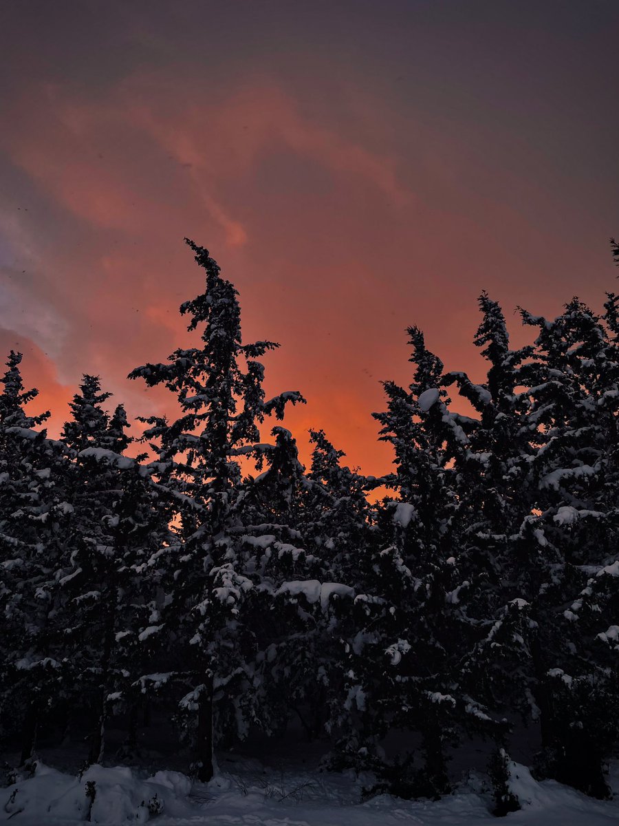 polichronis_'s tweet photo. The first fall of snow is not only an event, it is a magical event. You go to bed in one kind of a world and wake up in another quite different ...❄️🏔 
#snow #nature #athens #greece https://t.co/1AhLBU0dfS