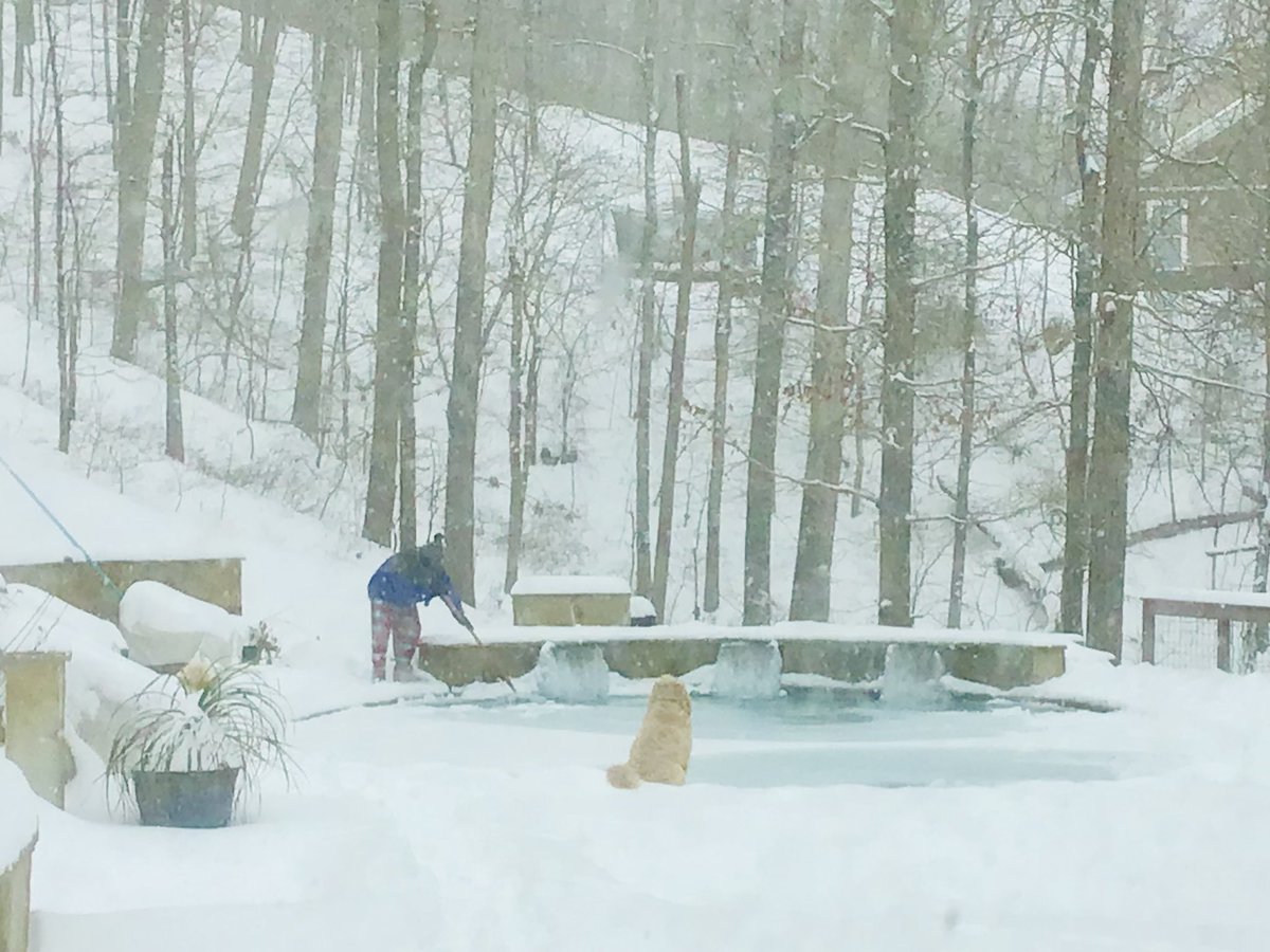 LynnBeardsley's tweet photo. I married a saint! #frozenpool #dogwalkedonfrozenpool #dogdidnotfallin โ๏ธ https://t.co/RbNfKhXF0D