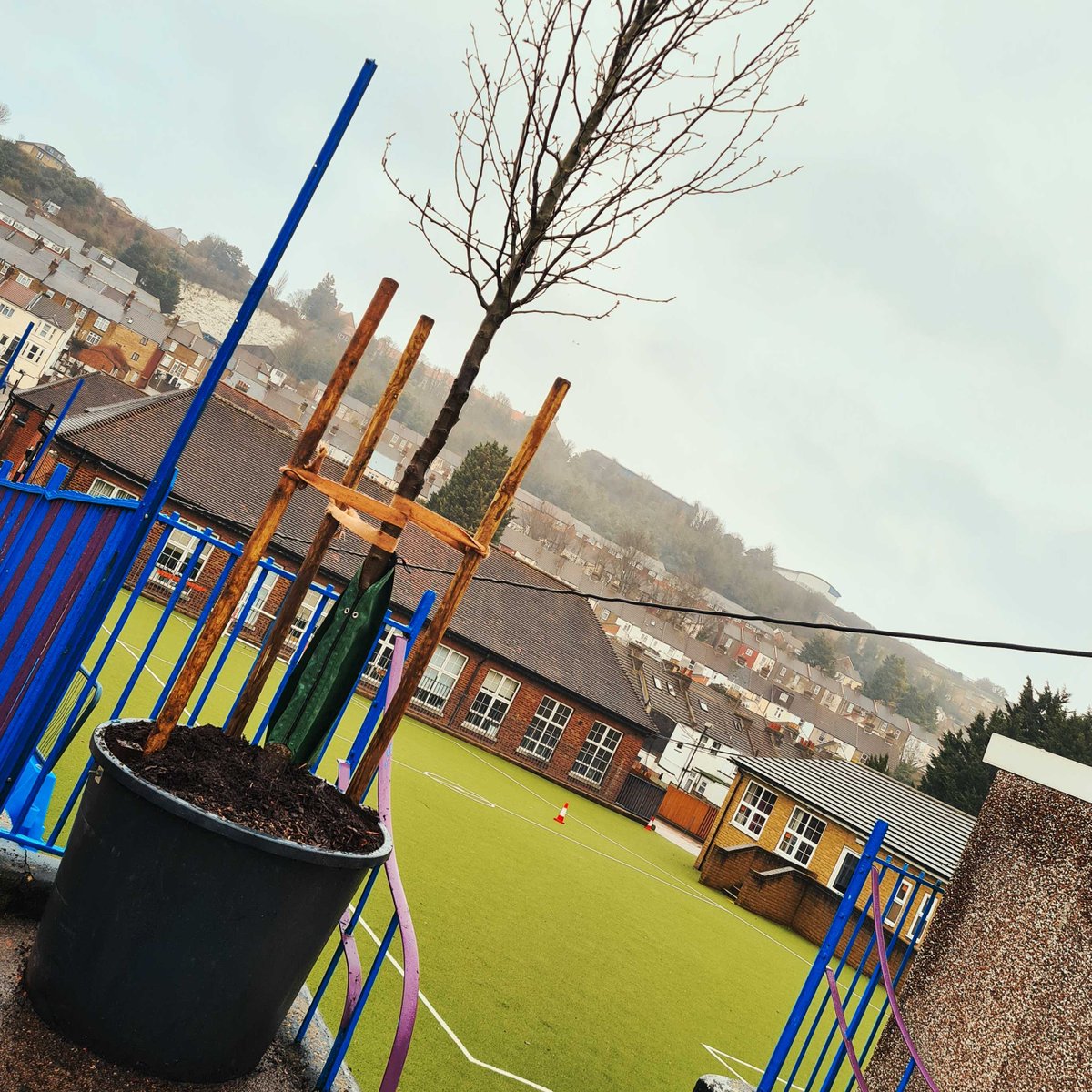 ArchesLocal's tweet photo. Back today fixing and tying the trees that make up the Movable Forest at @LutonPrimary through our Luton Urban Tree's Project with Medway Plus thanks to the players of People’s Postcode Lottery together with our #BigLocal Funding made it all possible #Treetopia #UrbanGreening https://t.co/06NKIPRGd9