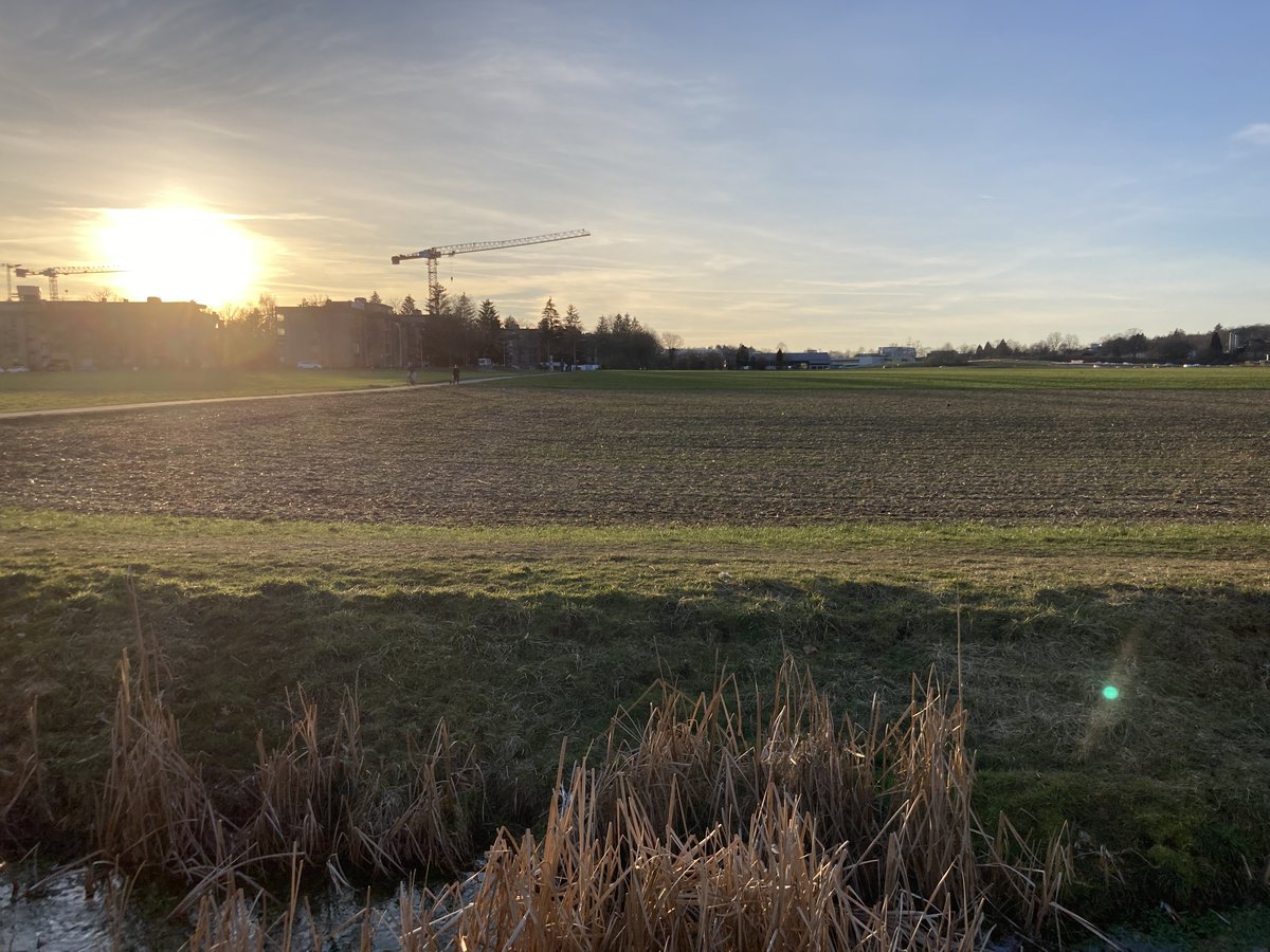 Die letzten Sonnenstrahlen tanken nach einem intensiven Weiterbildungsnachmittag #Gamekultur in der Schule für die <a href="/PHBern_ch/">PHBern</a>.

Erkenntnisse daraus: Die Budget Game-Zone muss her und Lehrpersonen reden im Online-Setting auch nach einem Jahr Corona nicht so wirklich gerne..
#twlz