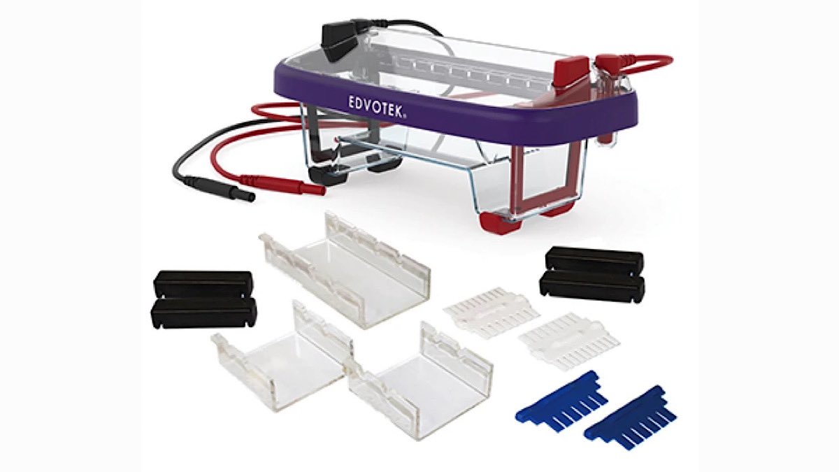 discoveringdna's tweet photo. The M12 electrophoresis tank comes with one 7x14cm tray &amp; two 7x7cm trays. Our favourite feature? Rubber end caps for perfect pouring. Only £175! https://t.co/K7gNxa6s1I
#newlab #biotech #lifescience #molecularbiology #electrophoresis #dna #teachinglab https://t.co/JFgsjxgr4r
