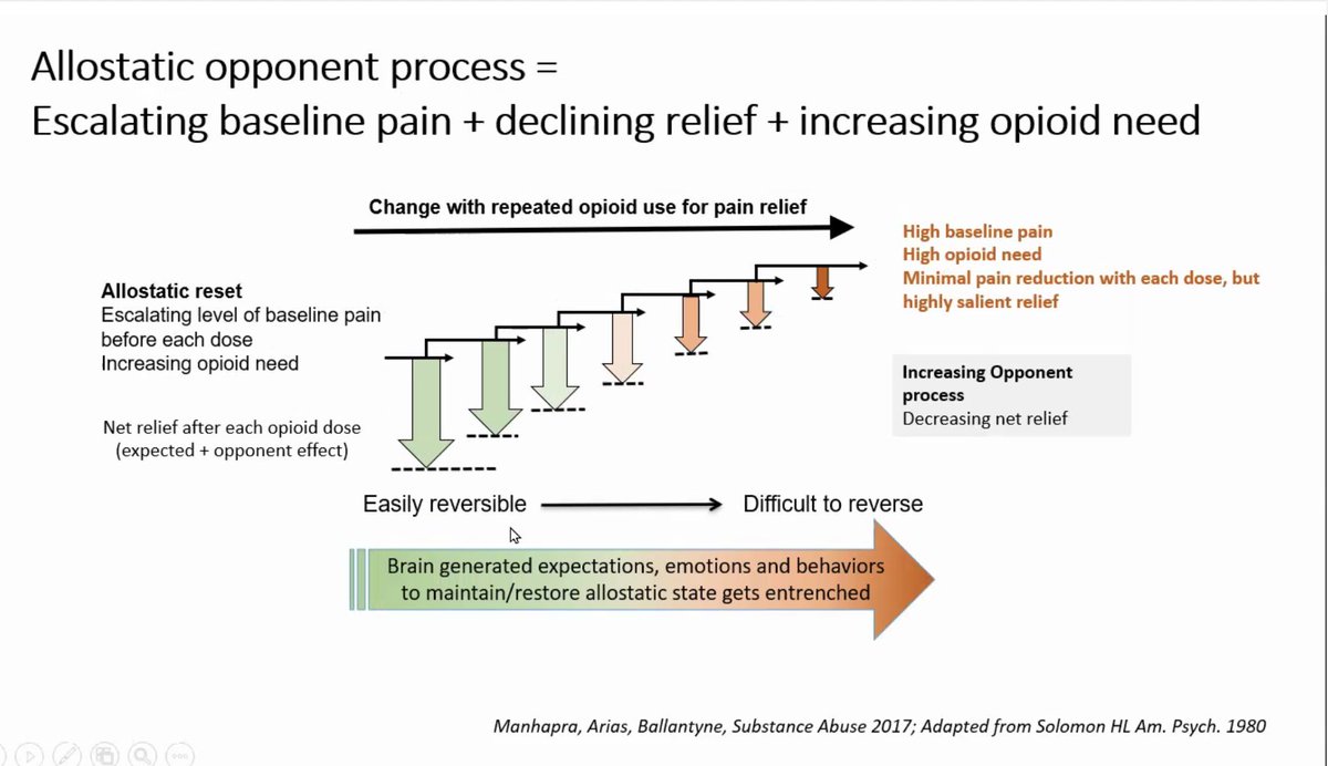5/There is an "opponent effect" so that relief from opioids is also opposed - not in all people and to the same degree - but this is part of the dependence dilemma for some persons at high dose