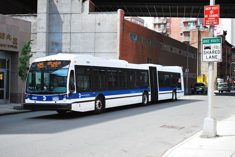 Nova Articulated Bus // Blue-and-White Flycatcher
