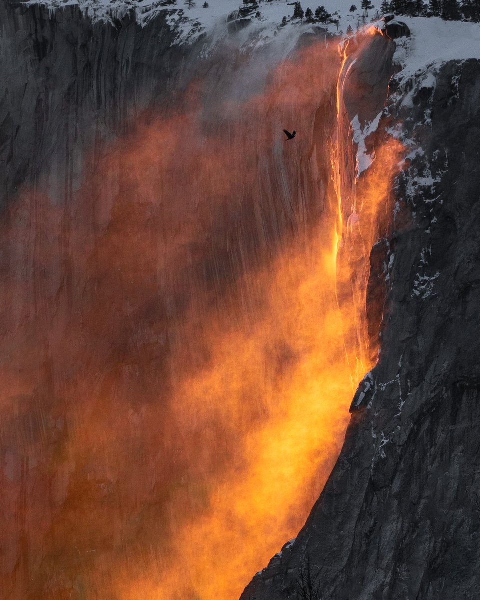 heykelseyj's tweet image. PSA: It’s Yosemite firefall season baby 🔥